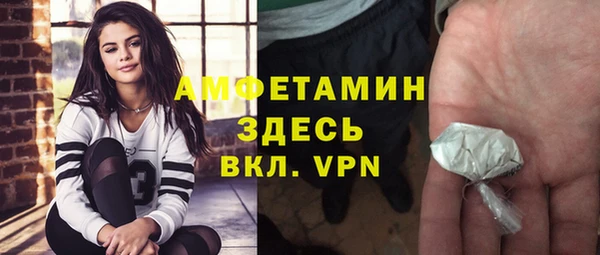 сатива Армянск