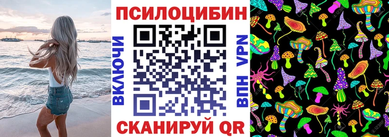 Псилоцибиновые грибы мухоморы где продают наркотики кракен как войти Бакал
